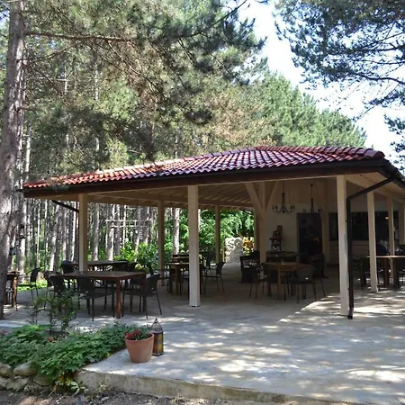 Guest house Forest House *