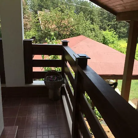 Forest House Guest house