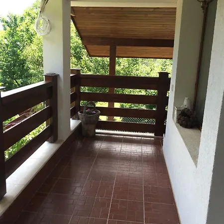 Forest House Guest house