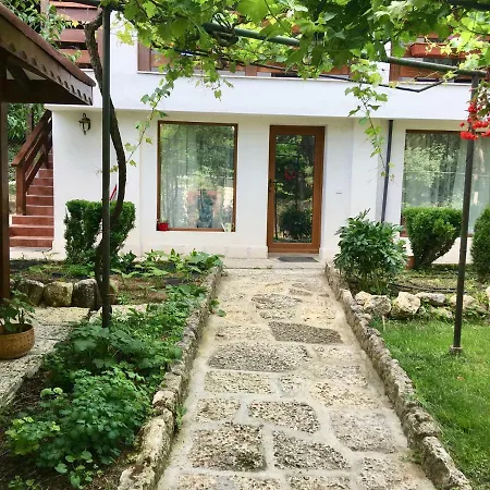 Guest house Forest House